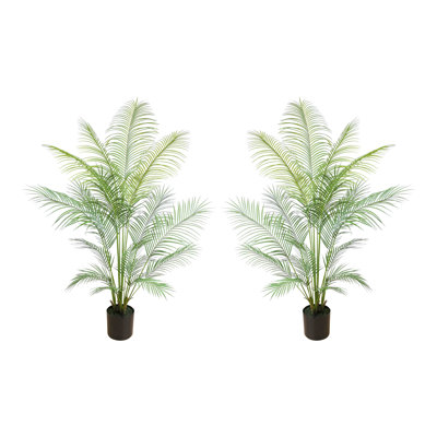5' and 5.5' Outdoor UV Rated Kentia Palm Drop-In Trees