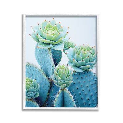 Cactus avec fleurs succulentes, estampe numérique encadrée par RB