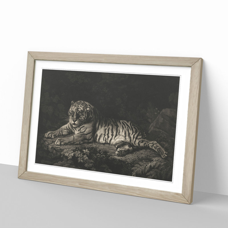 A Tiger by George Stubbs - Picture Frame Painting, Oak Framed, 48cm H x 65cm W x 2cm D