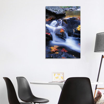Autumn Leaves In Little River, Great Smoky Mountains National Park, Tennessee - Vertical by Tim Fitzharris - Wrapped Canvas Print