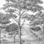 Orom II Collection Black Trees 62.5-inches wide x 9.18-feet high 3-panel Wall Mural