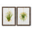 «Hanging Airplant II», ensemble de 2 impressions-446387501-487734114