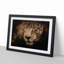 Jaguar Stalking Prey - Wall Art-55609827-55609832