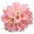 Rose est en rupture de stock