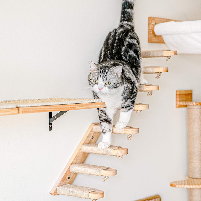 Ensemble de 3 tablettes murales pour chat