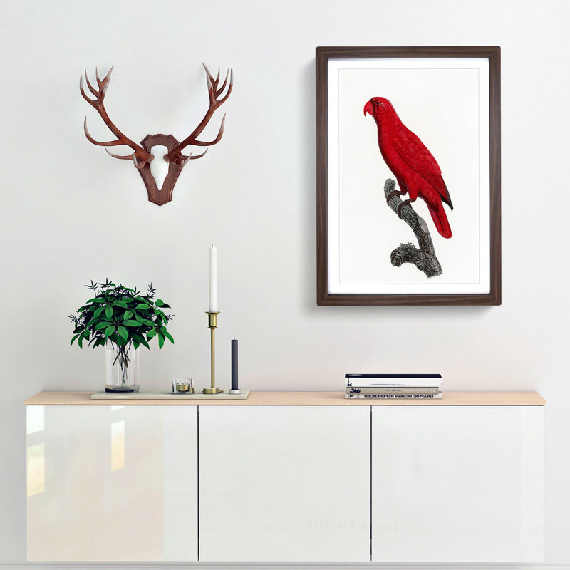 Cardinal Lory by F. Levaillant - Picture Frame Painting Print, 48cm H x 36cm W x 2cm D, Walnut Framed