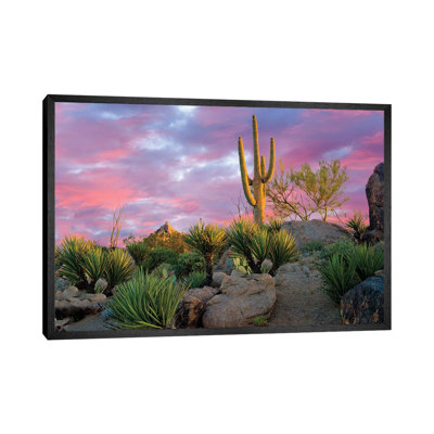 Cactus Garden Sunrise 1 Piece Wall Art on Canvas