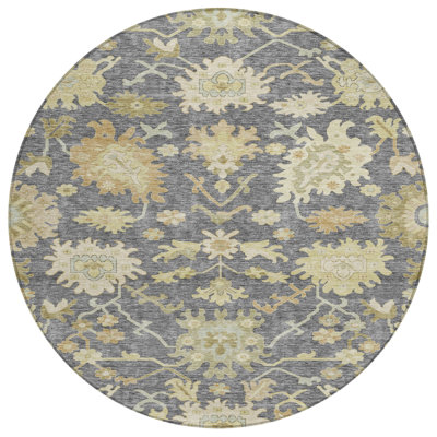 Louis Gray Washable Indoor-Outdoor Rug - 