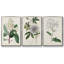 Garden Gems VII, ensemble de 3 toiles encadrées-97792698-97792702