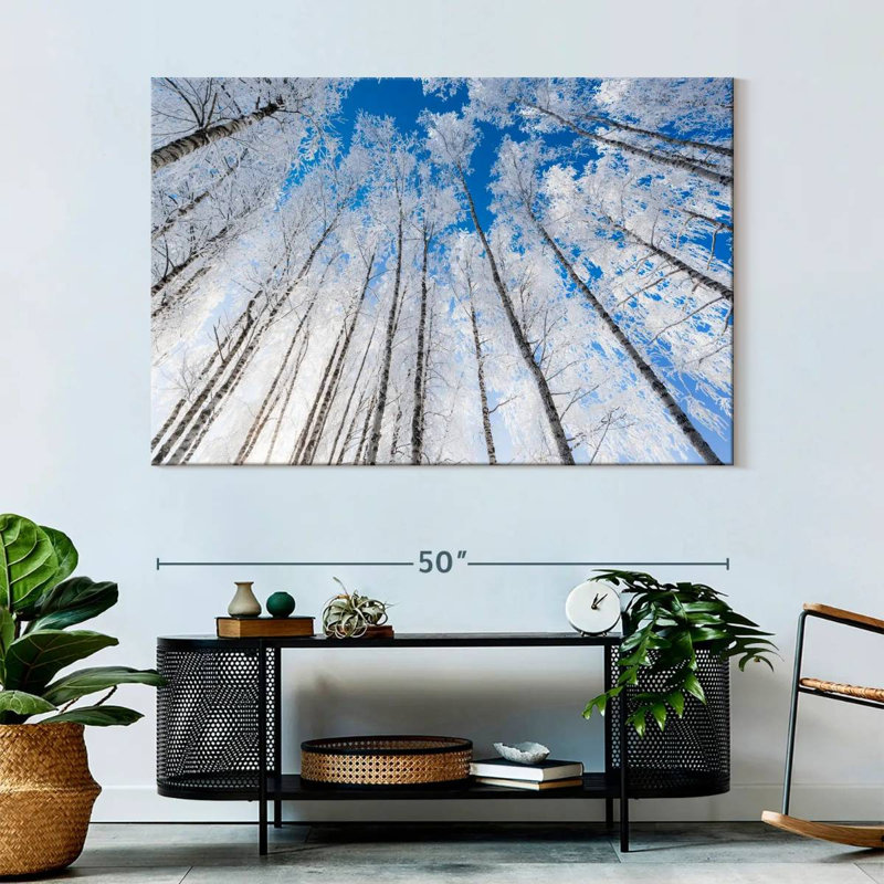 Alvord Wintry Birch Forest