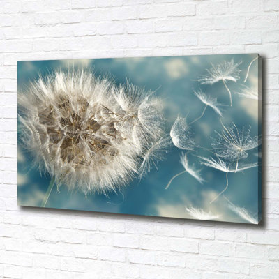 Dandelions - Wrapped Canvas Print