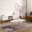 Table basse moderne en forme d'œuf pour le salon, facile à nettoyer et amp; Assembler