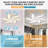 Flush Mount Modern Ceiling Fan with Dimmable LED Light Kit, RC, Reversible Blades, 6 Speeds - Windmill-871555630