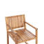 Adamina Patio Dining Armchair with Cushion-2039560476