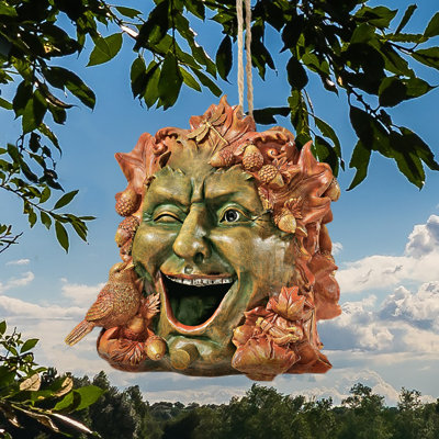 Cabane à oiseaux 8 po x 6,5 po x 7 po Jared Laughing Greenman