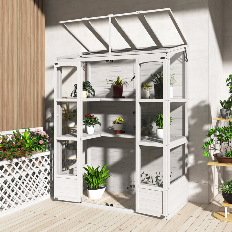 Outdoor 78-Inch Wooden Walk-In Greenhouse Cold Frame With 4 Independent Skylights And 2 Folding Middle Shelves,Anti-Fall Protection,Easy To Assembly
