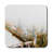 Square 6 Piece Coaster Set