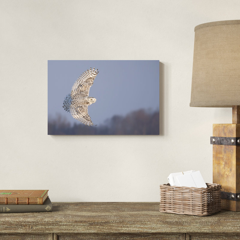 Hibou en vol V, H 12 po x l 18 po x P 1,25 po