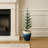 Dianelly Handmade Ceramic Pot Planter-563901273
