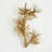 Albizia 3 - Light Design Wall Light