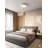 Modern 1 Light LED Round Flush Mount