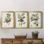 Oiseau antique, botanique et œuf I - ensemble de 3 peintures sur toile encadrées-1128397847-1128397846
