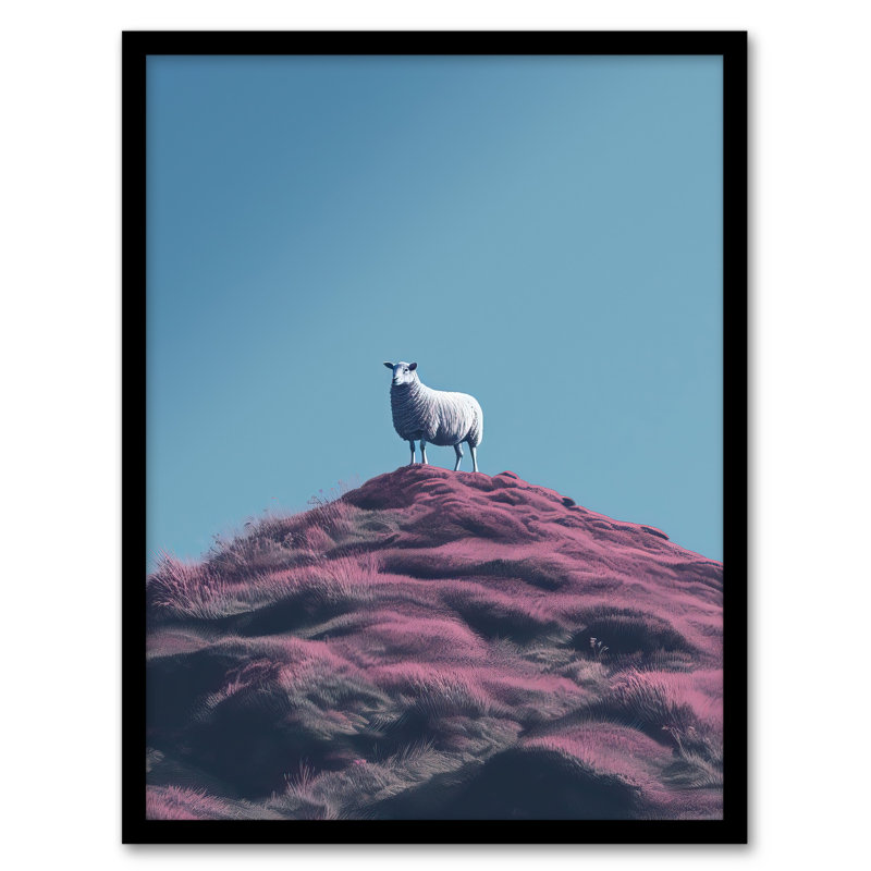 High On The Heather Sheep Scotland - Single Picture Frame Print