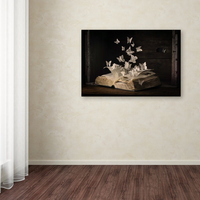 « Lepidopterology », reproduction de photo sur toile tendue, H 12 po x l 19 po