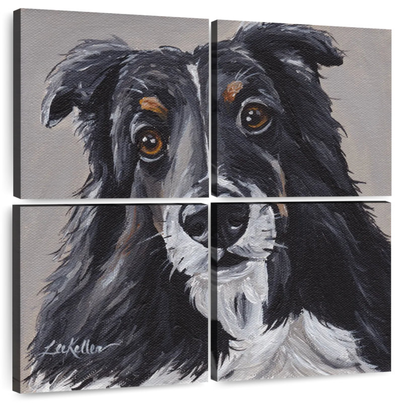 Sheltie de Brampt sur fond gris, H 26 po x l 26 po