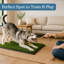 Tapis pour chien avec plateau 35,5 x 23,5 po PETMAker-2062066639