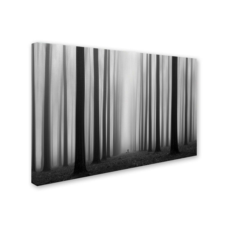 « la » rinth», reproduction de photo sur toile tendue, H 22 po x l 32 po