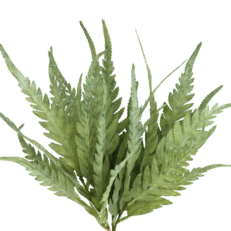 Fern Bundle (Set of 2), Green