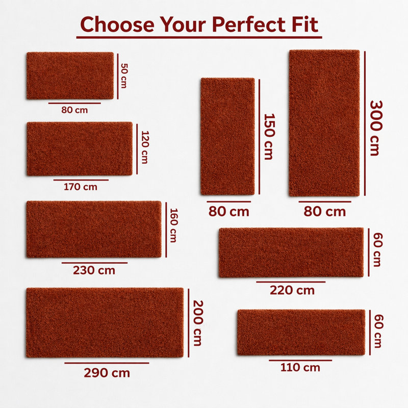 Aspire Homeware Rust Shaggy Area Rug Soft Plush Indoor Carpet, Rectangle 120cm Width X 170cm Length