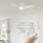 Dyonne 45'' Ceiling Fan with LED Lights-90847211