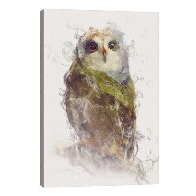 Owl by Daniel Taylor - Print on Canvas