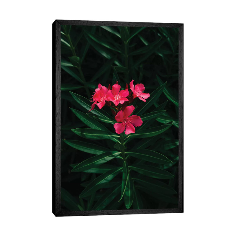 Florida Blooms 1 Piece Wall Art on Canvas, 66.04cm H x 45.72cm W x 3.81cm D, Black Framed