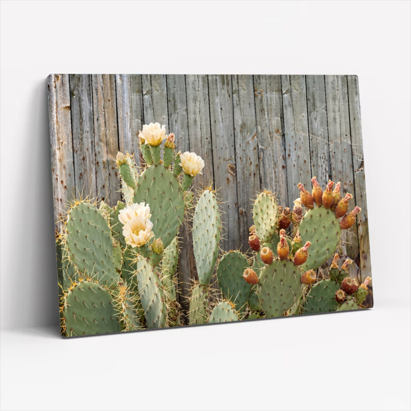 Ensemble de 1 tableau sur toile avec fleurs de cactus, H 36 po x l 48 po, Toile tendue