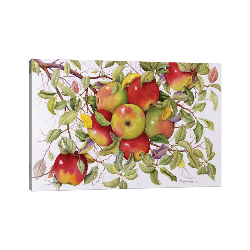 Apples by Marcia Matcham - Wrapped Canvas Painting, 20.32 cm H x 30.48 cm W, Wrapped Canvas