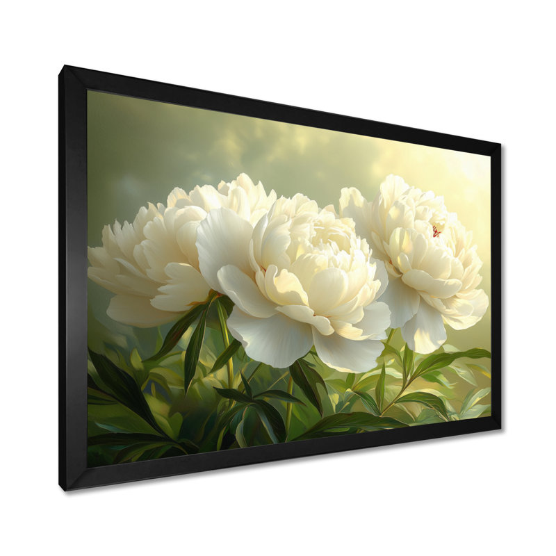 Pétale blanche, sérénité des pivoines, coucher de soleil II - pivoines, art mural encadré, H 12 po x l 20 po