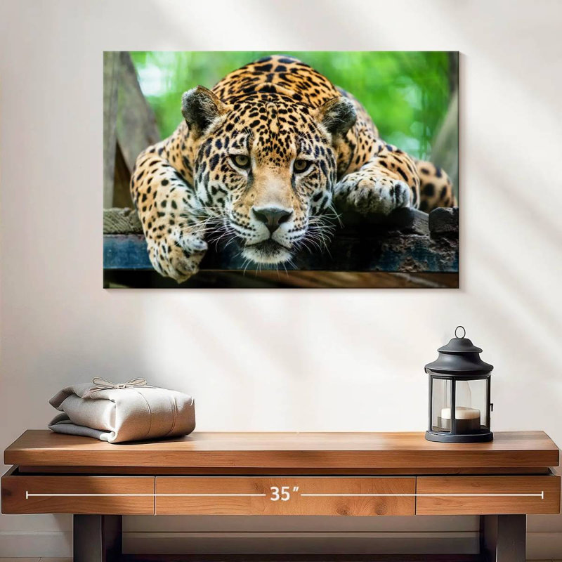 Crowle Lazy Leopard, H 16 po x l 24 po