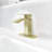 Single-handle Bathroom Faucet with Drain Assembly-64017174