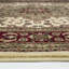 Oriental Area Rug-84895621