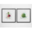" Veggie 2 " 2 - Pieces