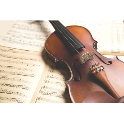 Rétro violon - photographie sur toile tendue