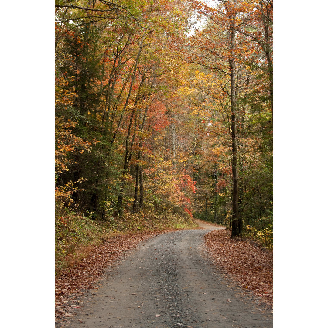 Gravel Road, Elljay Georgia von Jkinsey3291 - Leinwandfoto