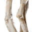 Lustre sphérique unique à 3 lumières Driftwood