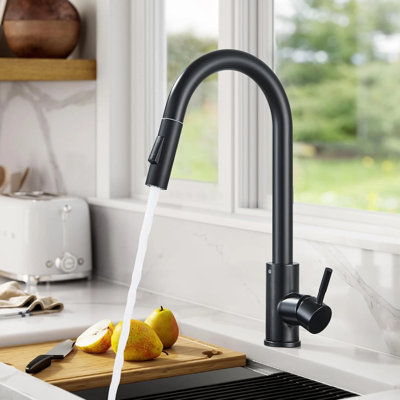 Moverlesenk Kitchen Faucet
