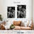 Shuttleworth Jewel Dancer-108252535