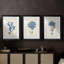 Corail antique en bleu marine I - Impression personnalisée de qualité supérieure avec cadre mat - 3 pièces-1065326929