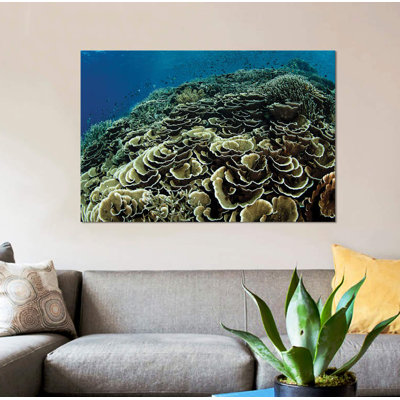 «A Beautiful And Fragile Coral Reef Grows In Komodo National Park, Indonésie I» par Ethan Daniels - reproduction d'art sur toile tendue